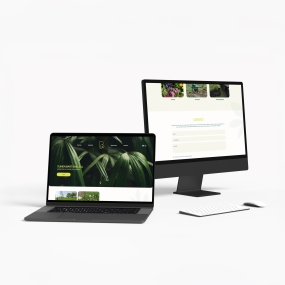 Bart Bailleul - website